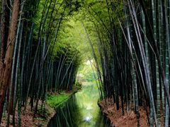 -同里国家湿地公园
