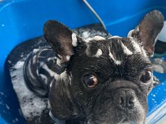 -心仪动物医院·牙专科·肿瘤·心脏科(西客站院)