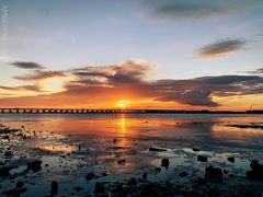 -宝安西湾红树林湿地公园