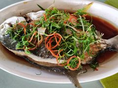 -南蚝小贝海鲜特色餐厅(南澳岛店)