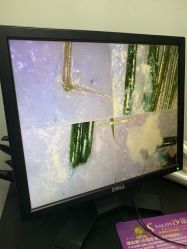 -章光101防脱养发荟