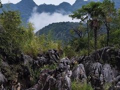 -千岛湖石林