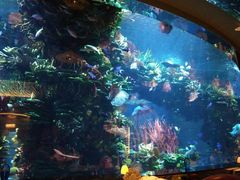 -迪拜帆船酒店海底餐厅