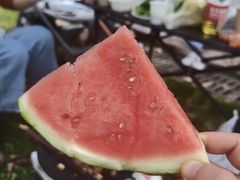 -洋湖国家湿地公园