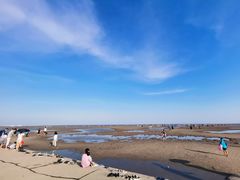 -碧海金沙