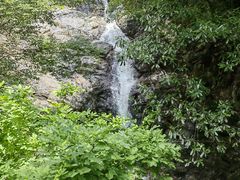 -东天目山风景区