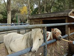 -长白岛森林公园
