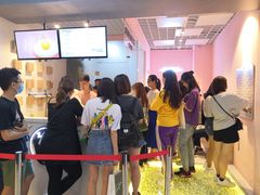 -狐狸和向日葵(北京路店)