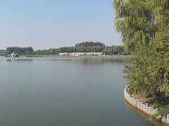 -大兴滨河森林公园