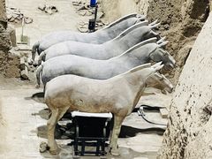 -秦始皇帝陵博物院(兵马俑)