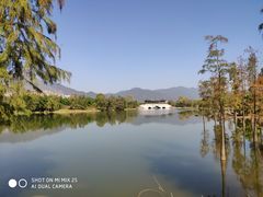 -飞来湖湿地公园