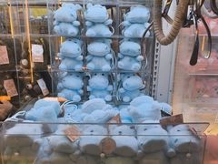 -风云再起游乐汇(北京西单西西友谊店)