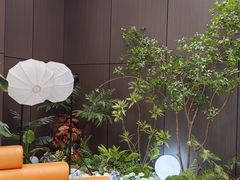 -大连湾旭日·家宴·海肠捞饭(马栏广场店)