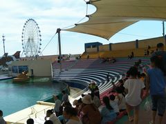 -秦皇岛乐岛海洋王国