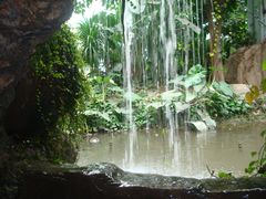 -郑州植物园