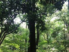 -杭州半山国家森林公园