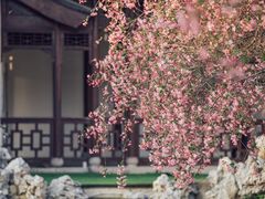 -莫愁湖公园
