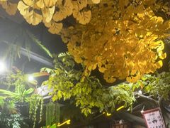 -城墙拐拐火锅(三峡广场黑金冠店)