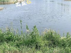 -野鸭湖国家湿地公园