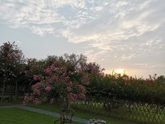 -南通洲际绿博园