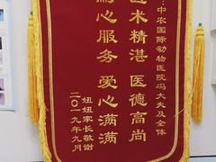 -中农国际动物医院24小时·猫科·骨科·急重症中心