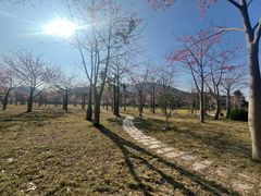 -风云岭森林公园