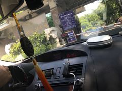 -福建鲤鱼洲酒店