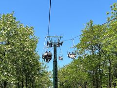 -南戴河国际娱乐中心