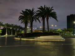 -宝安西湾红树林湿地公园