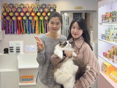 -青奢宠物·青奢猫舍