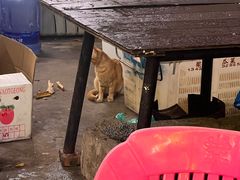-南沙辉记烧鸡·荔枝木炭火吊烧(旧镇店)