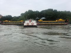 -溱湖国家湿地公园