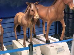 -吉林省自然博物馆