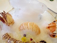 -伯衡55·吉品轩(乌鲁木齐南路店)