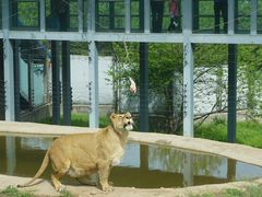 -西安秦岭野生动物园