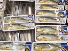 -山姆会员商店(上海浦东店)