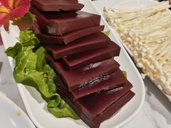 -牵牛记潮汕牛肉火锅(吾悦广场店)