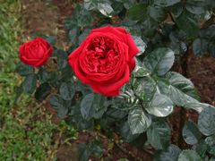 -人民公园(罗湖区)