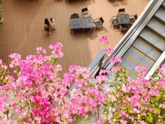 -香蜜公园