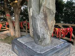-广州市帽峰山景区