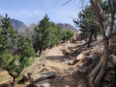 -天津盘山风景名胜区