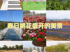 -盈香心动乐园