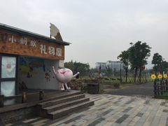 -田园东方蜜桃村的田野营地