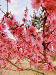 -大望京儿童游乐场