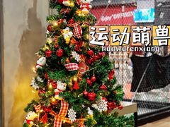 -运动派(北京店)
