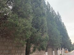 -辽沈战役纪念馆