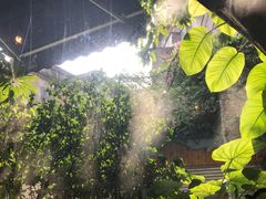 -西关84·History·Art·Cafe