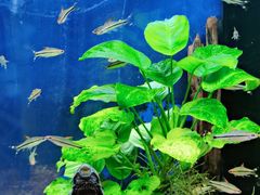 -沙沙哗啦海洋馆(华宇百花谷店)