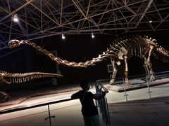 -世界恐龙谷景区