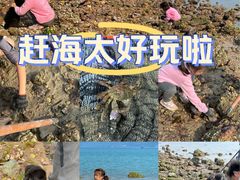 -坝光海滩